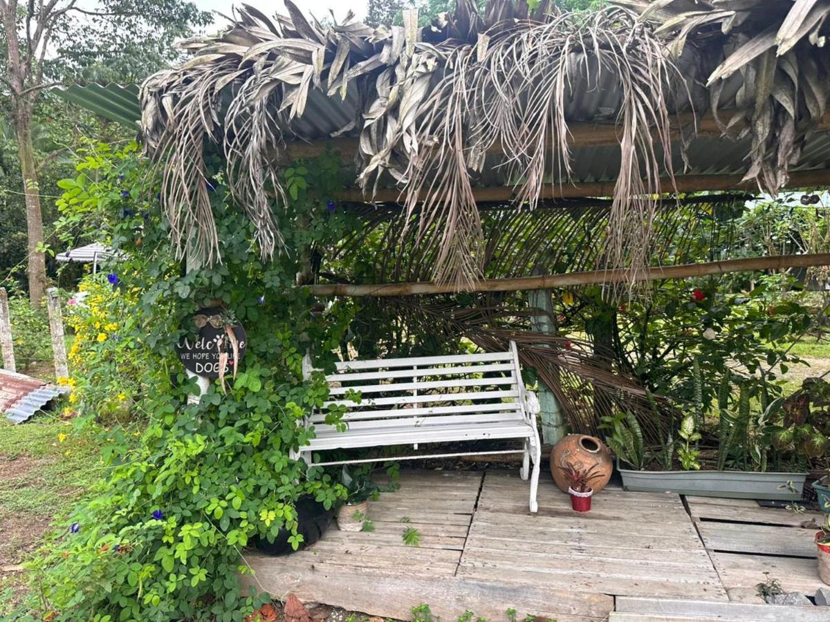 River Side Lodge Horquetas Esterno foto